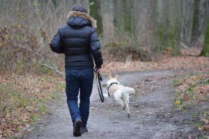 Hund und Halter im Wald