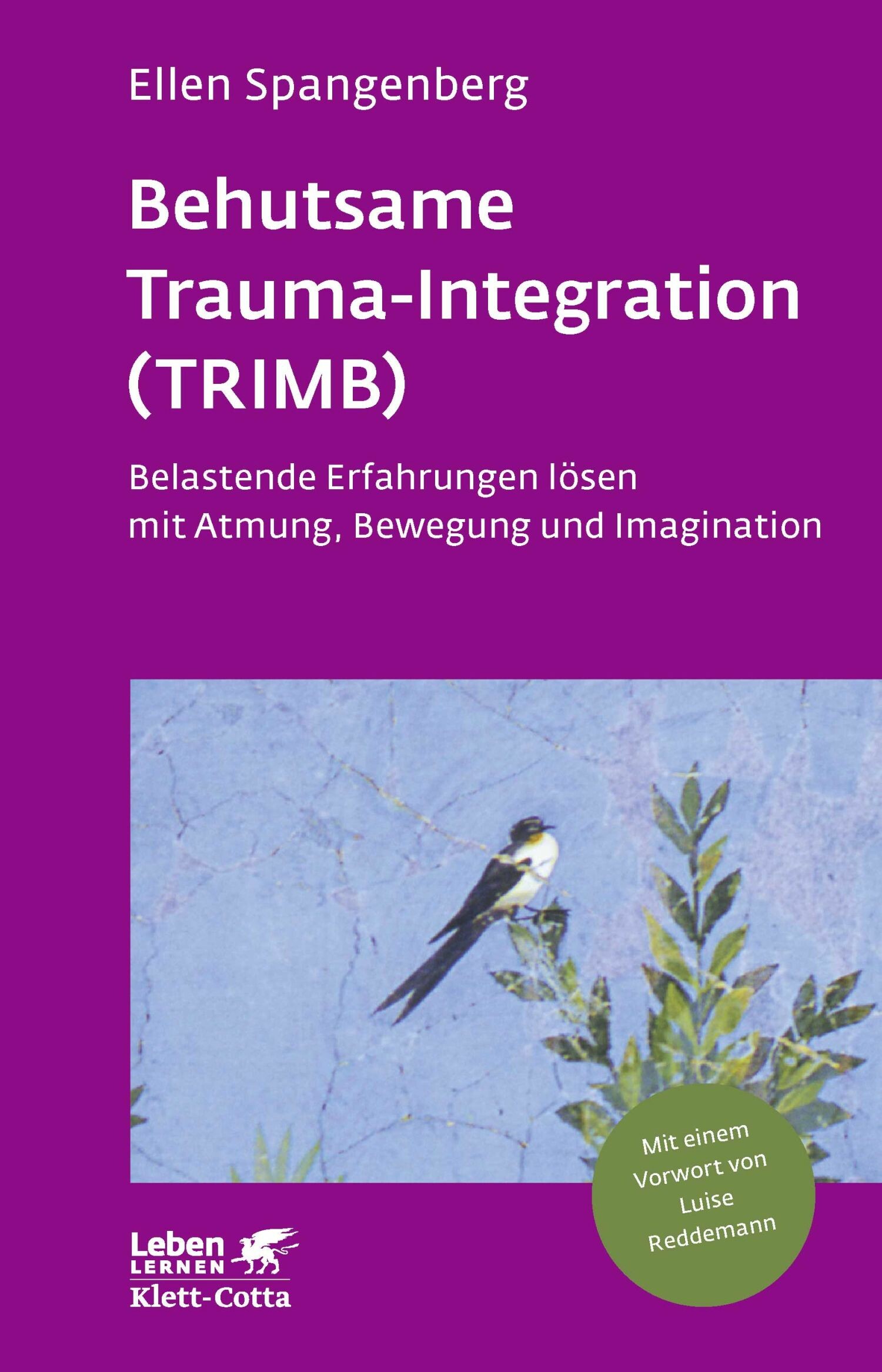 Behutsame Trauma-Integration (TRIMB) (Leben Lernen, Bd. 275) - PDF ...