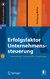 E-Book Erfolgsfaktor Unternehmenssteuerung