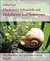 E-Book Cholesterin behandeln mit Heilpflanzen und Teerezepten