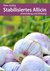 E-Book Stabilisiertes Allicin