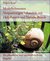 E-Book Muskelschmerzen Verspannungen behandeln mit Heilpflanzen und Naturheilkunde