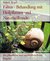 E-Book Falten - Behandlung mit Heilpflanzen und Naturheilkunde