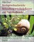 E-Book Bindegewebsschwäche Behandlung mit Heilpflanzen und Naturheilkunde