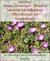 E-Book Anämie, Eisenmangel Blutarmut behandeln mit Heilpflanzen und Naturheilkunde