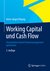 E-Book Working Capital und Cash Flow
