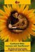 E-Book Lernen mit Sunflower